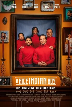 A Nice Indian Boy 2025 Hindi Dual Audio WEB-DL 720p - 480p - 1080p
